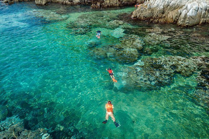 Shore Excursion Premium Family Snorkeling Experience - Authentic Feedback from Participants