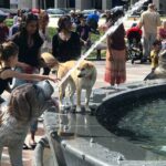 Show me the City! A Small Group Walking Tour of Toronto - Practicalities and Considerations