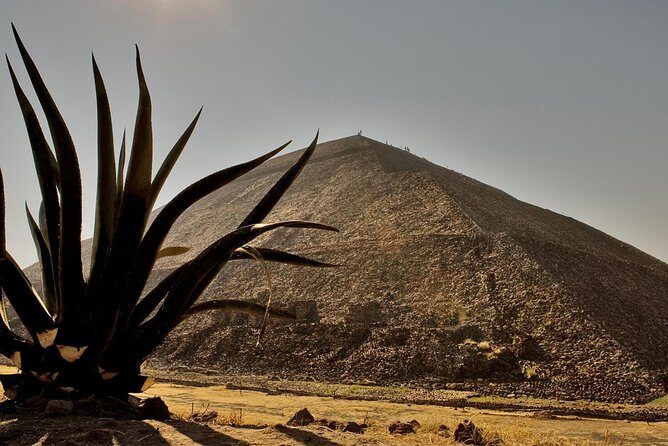 Shrine of Guadalupe and Teotihuacan Private & Small groups - FAQs