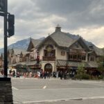 Shuttle Service and Tours - Why this Shuttle Service Could Be a Good Fit