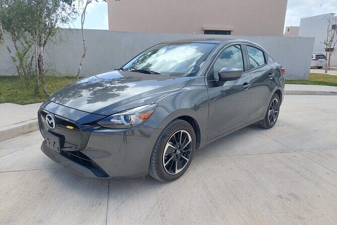 Shuttle Service Cancun Airport Hotel Zone 1 to 6 Persons - Who Should Consider This Service?