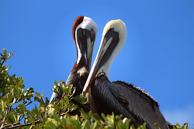 Sian Ka'an Adventure Full Day Trip to Punta Allen - What Makes This Tour Stand Out?