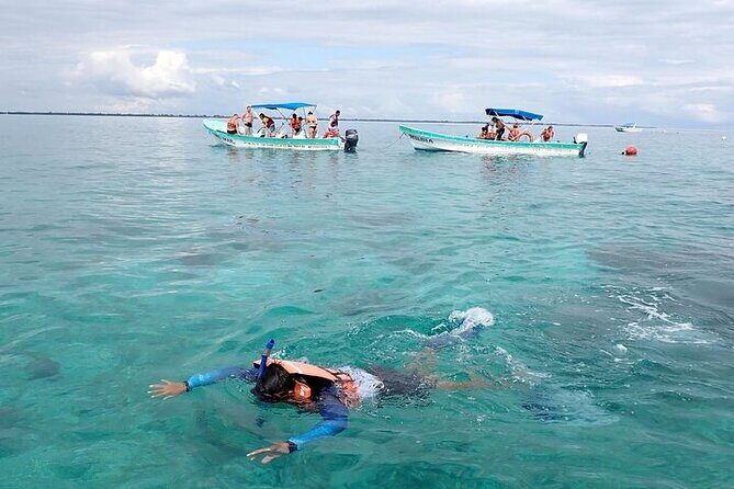 Sian Kaan Biosphere Reserve Tour from Playa del Carmen - The Price and Value