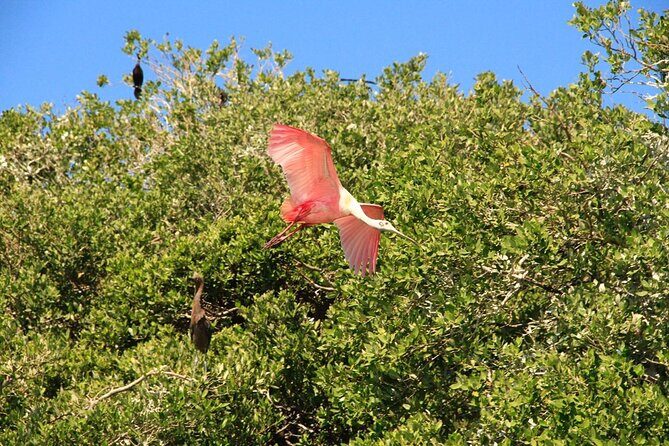 Sian Ka'an Classic - Who Should Consider This Tour?