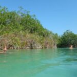 Sian Kaan Muyil Floating Canals - Why This Tour Is a Great Choice