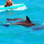 Sian Ka'an Reserve: Safari and Snorkeling Tour. - What’s Included and What to Prepare