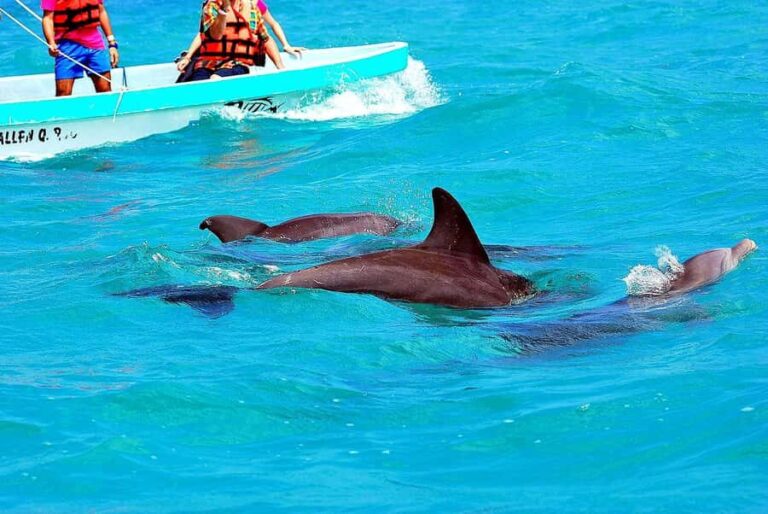 Sian Ka'an Reserve: Safari and Snorkeling Tour. - What’s Included and What to Prepare