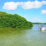 Sian Ka'an Trip from Playa del Carmen & Tulum - What Past Travelers Say