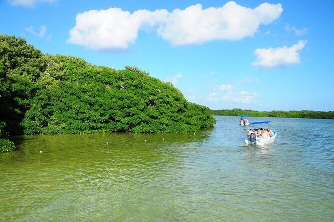 Sian Ka'an Trip from Playa del Carmen & Tulum - What Past Travelers Say