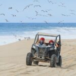 Side by Side 4X4 Adventure in Los Cabos - Why Choose This Tour?