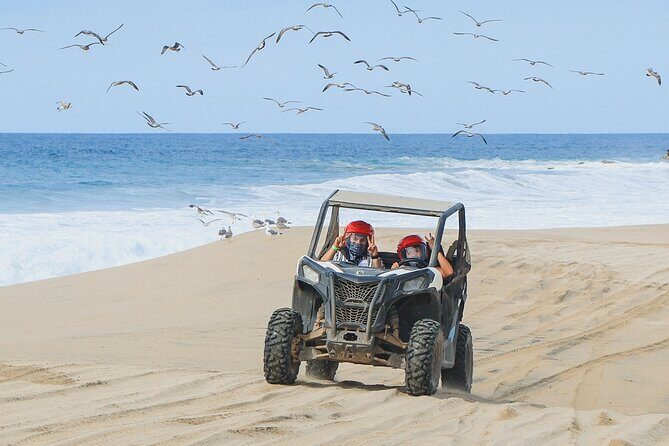 Side by Side 4X4 Adventure in Los Cabos - Why Choose This Tour?
