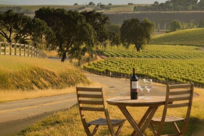 Sideways Movie Wine Trail: A Self-Guided Driving Tour - Who Will Love This Tour?