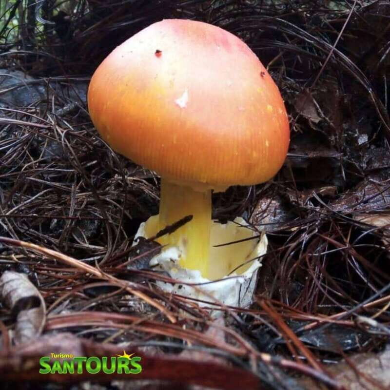 Sierra Norte: Eco Adventure Tour - Who Should Consider This Tour?