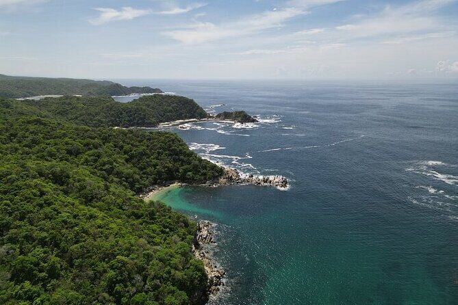 Sighting DE Marine Mammals and Snorkeling - Final Thoughts