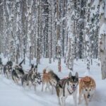 Signature Ridge Top Mush - Final Thoughts