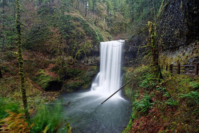 Silver Falls Private Hike Tour - Exploring Silver Falls State Park: A Natural Wonderland