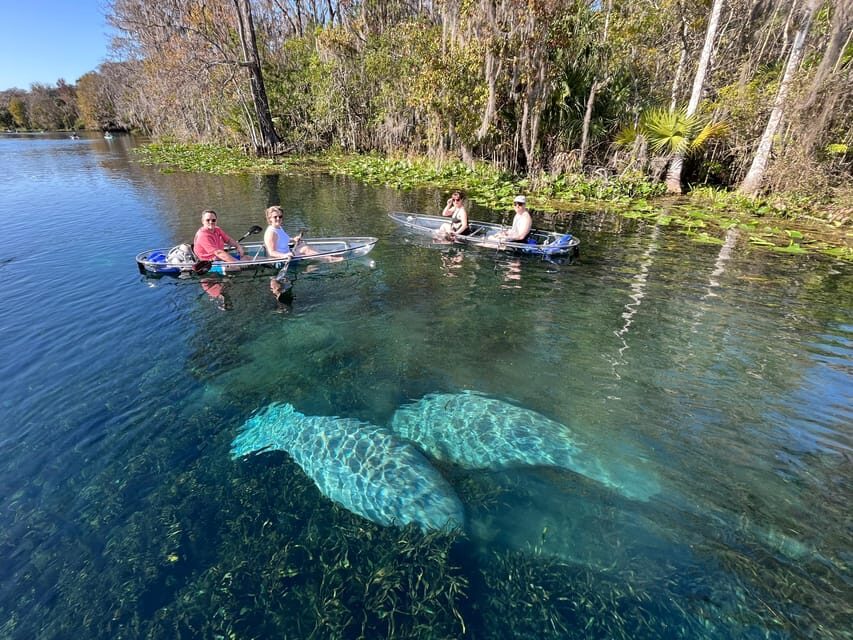 Silver Springs: Clear Kayak Manatee Season Tour - What to Expect from the Tour: Step by Step
