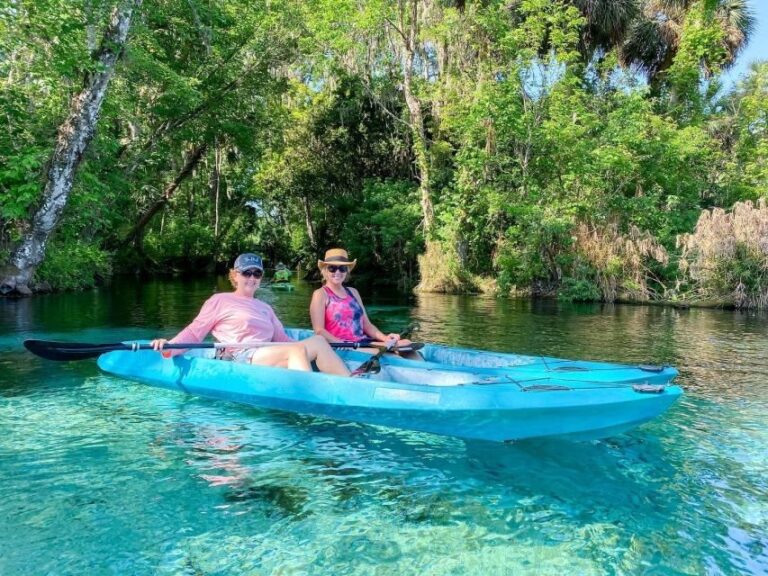 Silver Springs: Glass Bottom Kayak and Wildlife Tour - What You’ll Love About the Silver Springs Glass Bottom Kayak Tour
