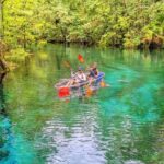 Silver Springs: Jungle Kayaking & Paddleboarding Adventure - What’s Included and What’s Not