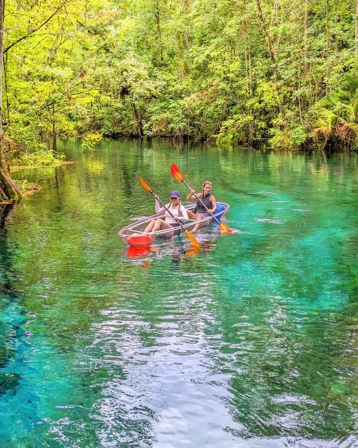 Silver Springs: Jungle Kayaking & Paddleboarding Adventure - What’s Included and What’s Not