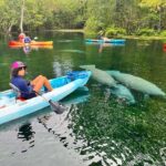 Silver Springs: Kayak or SUP Rental with Shuttle - Who Is This Tour Best For?