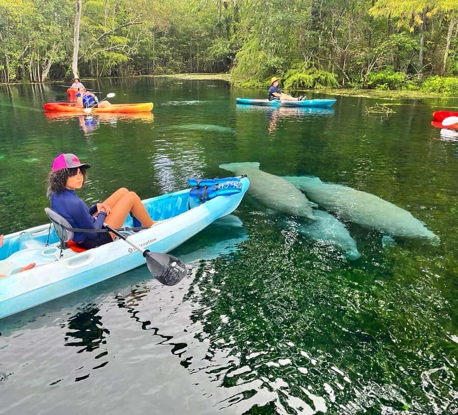 Silver Springs: Kayak or SUP Rental with Shuttle - Who Is This Tour Best For?