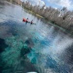 Silver Springs: Silver River Guided Kayak Tour - Who Will Love This Tour?