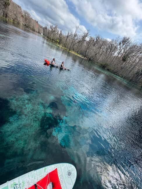 Silver Springs: Silver River Guided Kayak Tour - Who Will Love This Tour?