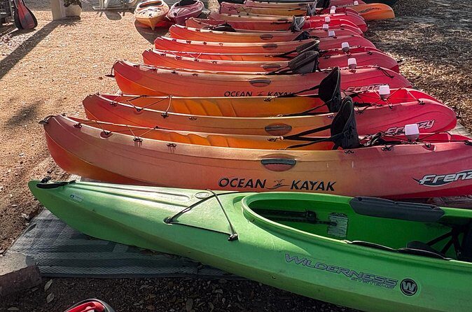 Single Kayak Rental - Summary: An Authentic, Value-Driven Water Adventure
