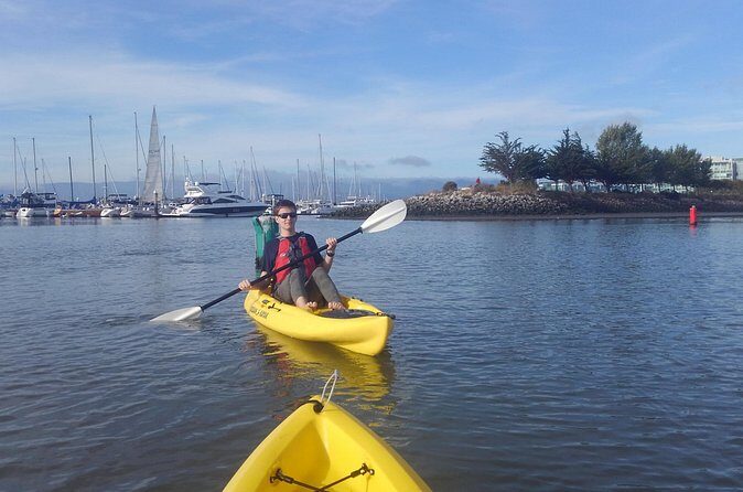 Single Kayak Rental in Redwood City - What to Expect During Your Kayaking Adventure