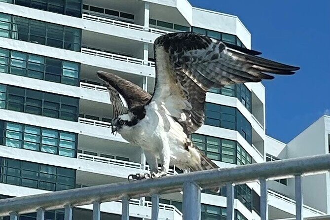 Single Kayak Rentals at The Bay - Suitable For: Who Will Love This Experience?