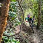 SINGLETRACK MOUNTAIN BIKE - Guided through the jungle - Who Will Love This Tour?