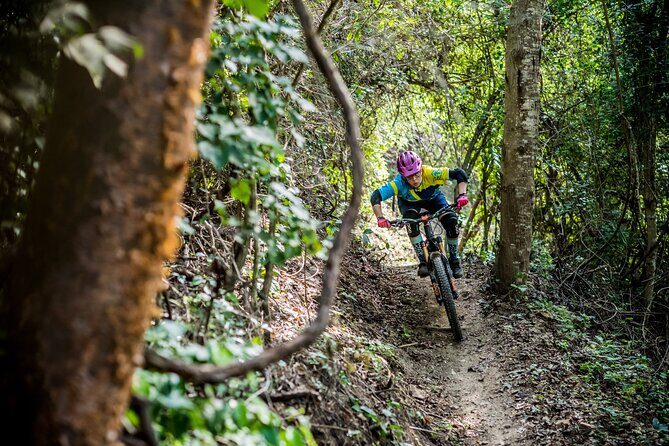 SINGLETRACK MOUNTAIN BIKE - Guided through the jungle - Who Will Love This Tour?