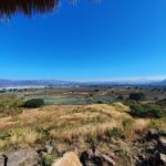 Sip & Savor Tequila Experience Distillery w/ Lunch fr Guadalajara - A Deep Dive into the Experience