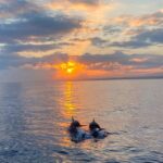 Sip & Sunset - BYOB Adults Only Dolphin Cruise - Why This Tour Offers Good Value