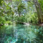 Sisal Mangrove and Beach Kayak Tour From Merida - Practical Details and Tips for Your Day