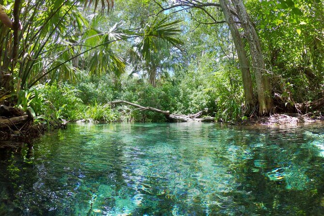 Sisal Mangrove and Beach Kayak Tour From Merida - Practical Details and Tips for Your Day