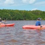 Sisal Mangroves & Beach Expedition from Merida - A detailed look at the itinerary