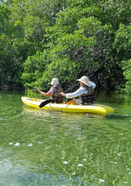 Sisal Yucatán: Snorkeling in a jungle spring and mangrove exploration - Key Points