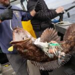 Sitka: 6-Hour Premiere Salmon Fishing - The Value for the Price