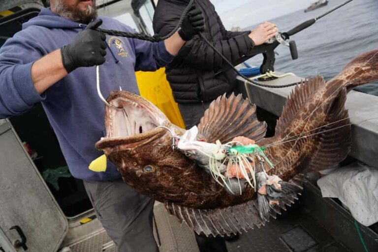 Sitka: 6-Hour Premiere Salmon Fishing - The Value for the Price