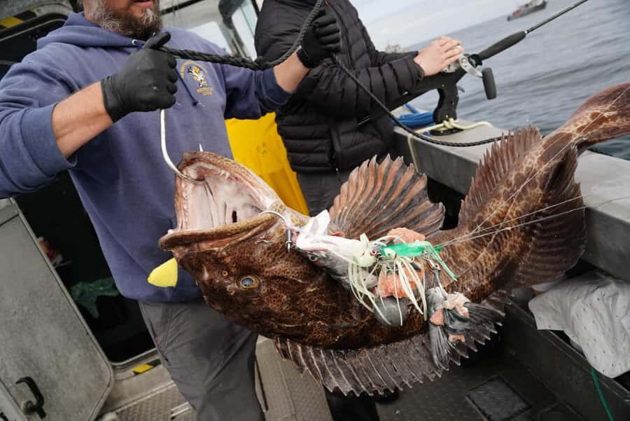 Sitka: 6-Hour Premiere Salmon Fishing - The Value for the Price