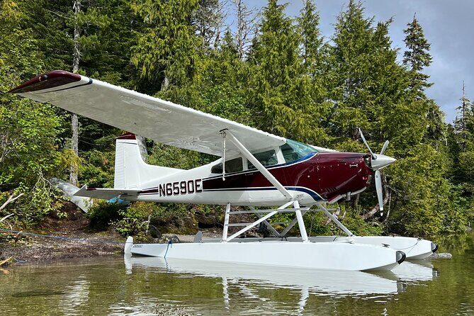 Sitka Sound Private Seaplane Tour Experience - Who Should Book This Tour?