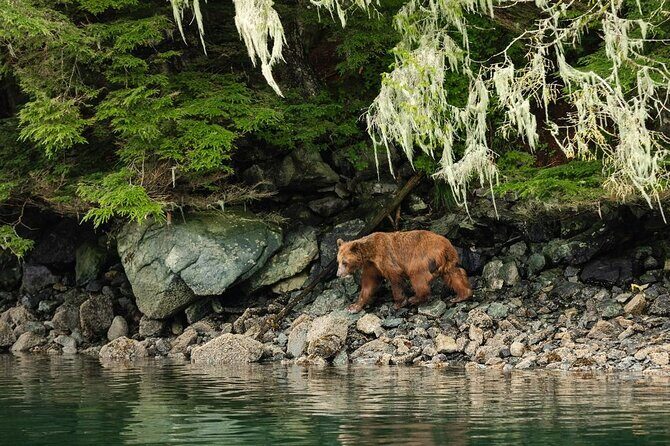 Sitka Whale Watch and Sea Otter Quest - The Group Experience and Practical Details