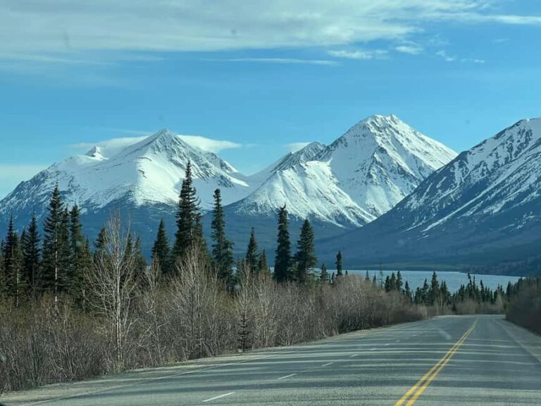 Skagway: Yukon Discovery Tour - An In-Depth Look at the Tour Itinerary