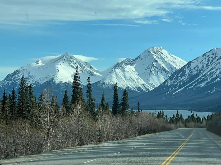 Skagway: Yukon Discovery Tour - An In-Depth Look at the Tour Itinerary