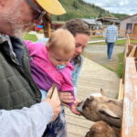 Skagway: Yukon Dog Mushing & Sightseeing Tour - Who Will Love This Tour?