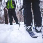 Skiing (Hok Ski) Excursion in Jacques-Cartier National Park - Who Should Consider This Tour?