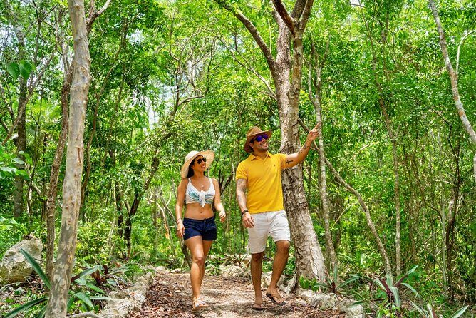 Skip-the-Line Chichén-Itzá Experience with Cenote and Lunch - Introduction: What This Tour Offers