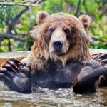 Skip the Line: Kamloops BC Wildlife Park Admission Ticket - Exploring the Kamloops BC Wildlife Park: A Practical and Authentic Guide